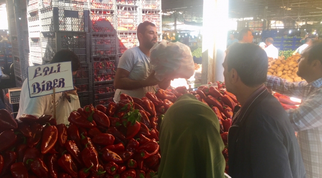 Salçalık bibere ilgi