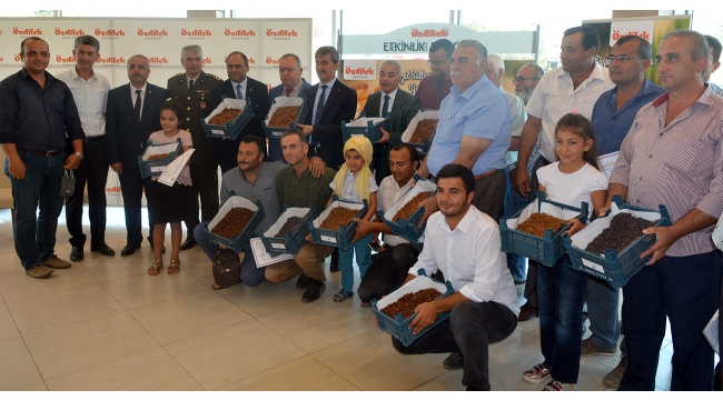 Turgutlu'da 2'nci 'En Güzel Kuru Üzüm Yarışması