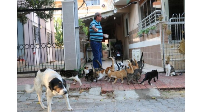 Av tutkunuydu, ömrünü beslediği kedilere adadı