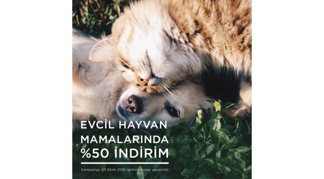Evcil hayvan mamalarında % 50 indirim 