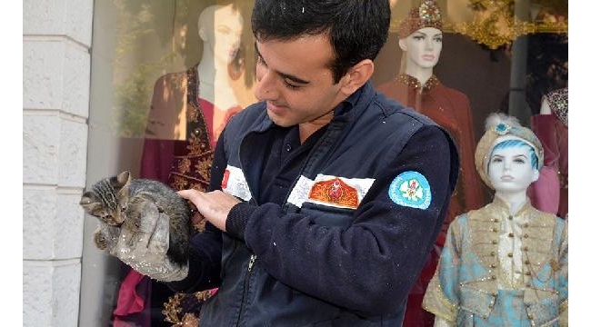 Sıkışan yavru kediyi itfaiye kurtardı