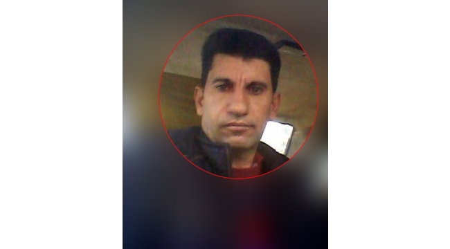 Kestiği ağacın altında kalıp yaşamını yitirdi