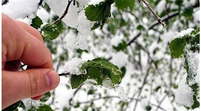 Orta kuvvette zirai don bekleniyor