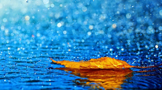 Meteoroloji'den son dakika uyarısı! Çok kuvvetli geliyor