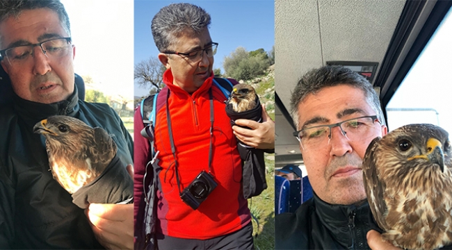 Dağcılar yaralı şahini kurtardılar