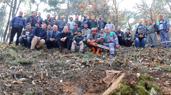 Turgutlu'da kestane dal kanseri ile mücadele edenler artık sertifikalı