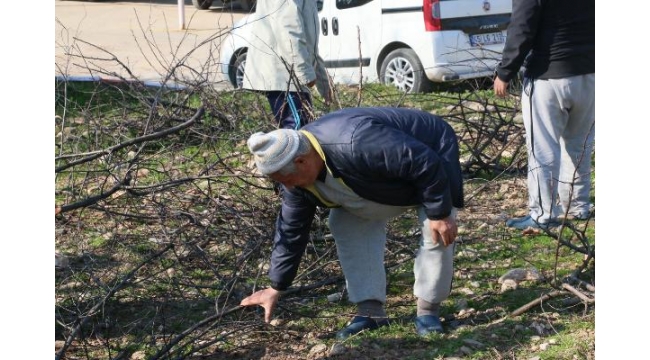 Tarımla terapi