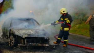 Ormanlık alanda otomobil yangını panik yaşattı