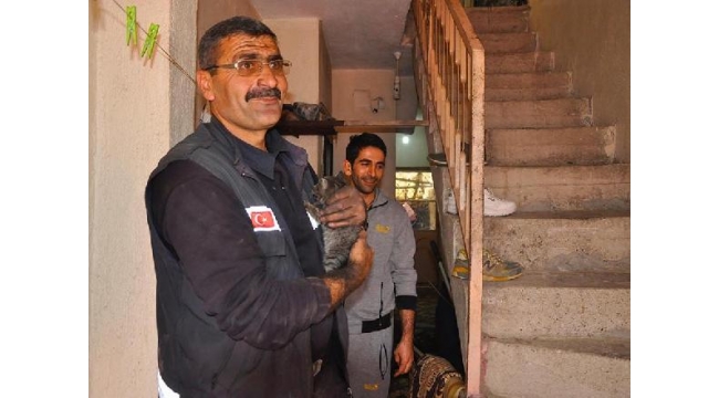 Baca deliğine düşen yavru kediyi itfaiye kurtardı