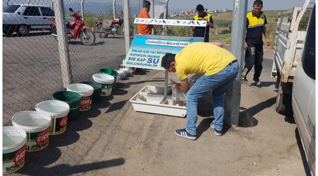 Başkan Akın "Canlarımızın Yaşama Hakkına Sahip Çıkıyoruz"