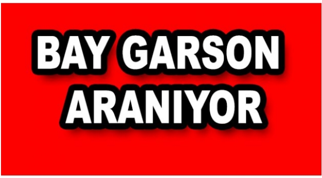 GARSON ARANIYOR