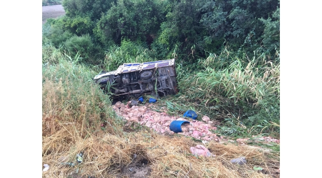 Kamyonet yol kenarına devrildi: 1 yaralı