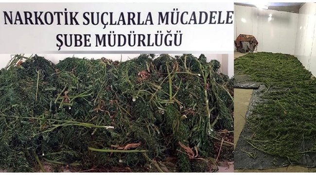 Depoda sakladığı 23 kilo esrarla yakalanıp, tutuklandı