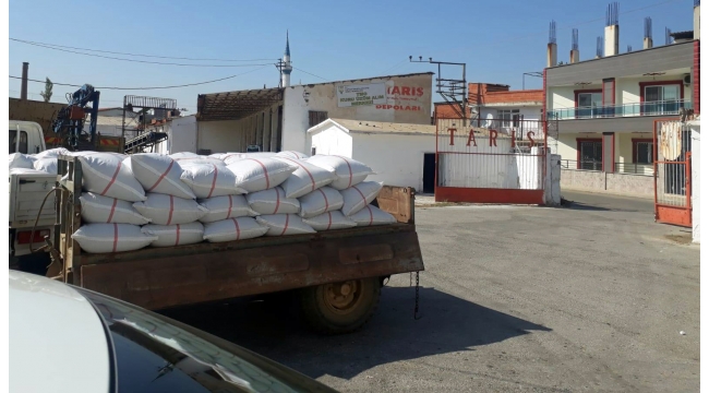 TMO, Turgutlu'da kuru üzümü 10 TL'den almaya başladı