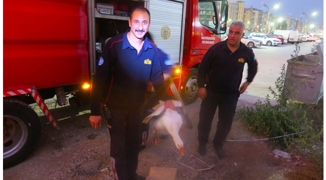 Kuyuya düşen kazı itfaiye kurtardı