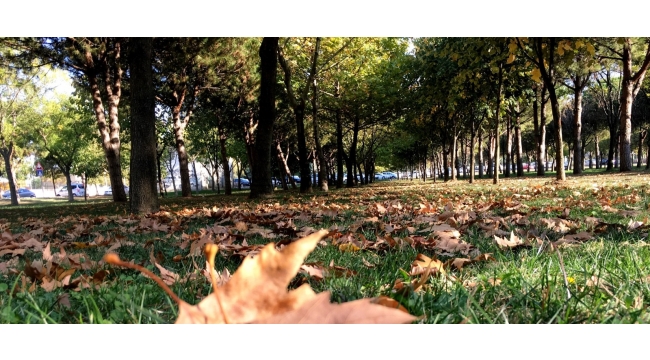 Sohbaharın her ayı bir başka güzel