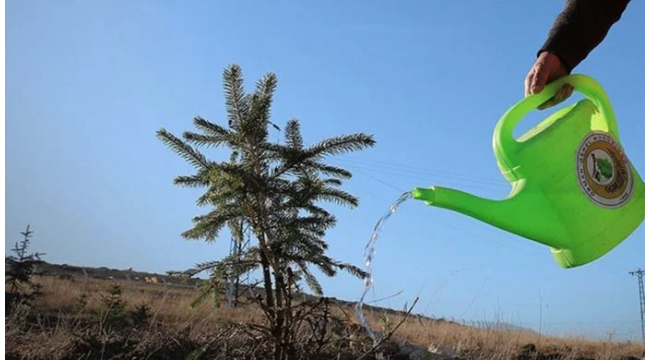 11 Kasım 11.11'de Haydi Turgutlu fidan dikmeye!