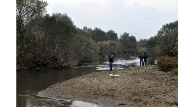 Gediz Nehri'ndeki balık ölümleri araştırılıyor