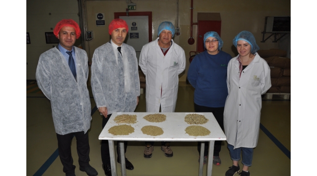 Turgutlu'dan dünyaya 7 bin ton kekik ihracatı