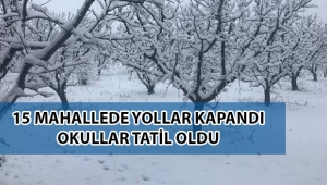 15 mahallede kar nedeniyle yollar kapalı VİDEO
