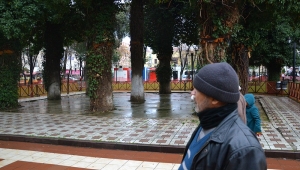 Vatandaş taş yerine çim istiyor
