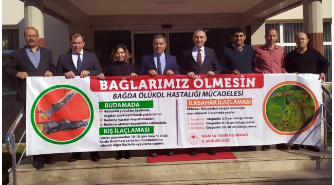 Bağlarda ölükol hastalığına karşı seferberlik