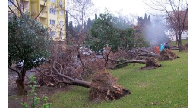 Manisa'ya fırtına uyarısı