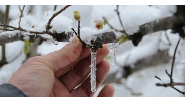 Meteorolojiden zirai don uyarısı!