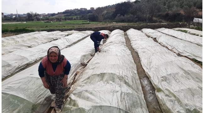 Tarlada çalışan kadına jandarma yardım etti
