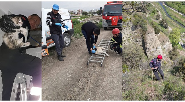 İtfaiyeden hayvan kurtarma operasyonları
