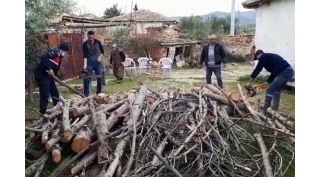 Şehit annesinin ihtiyaçlarını karşılayan jandarma yakacak odunları da kesti