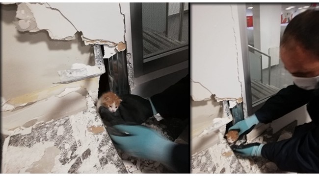 Duvar ile panel arasına sıkışan kedi kurtarıldı