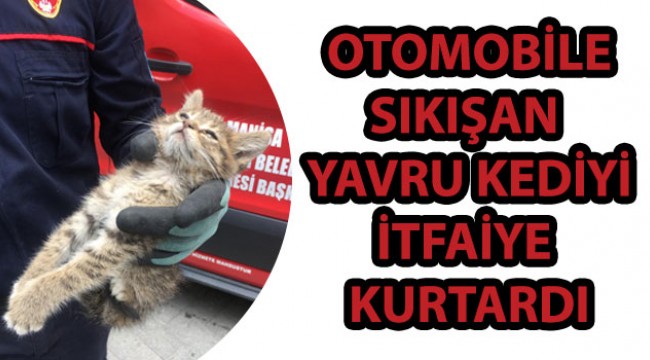 Otomobile sıkışan kediyi itfaiye kurtardı 