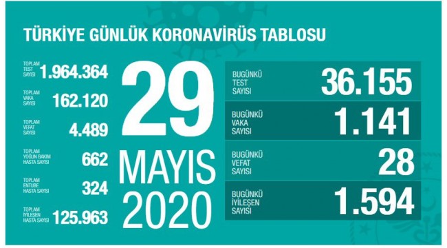 Türkiye'nin 29 Mayıs koronavirüs tablosu
