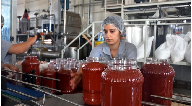Türkiye'nin salça ihracatı Kovid-19 salgınında arttı