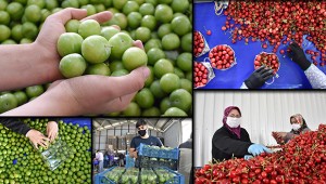 Üreticiler artan meyve talebine yetişemiyor