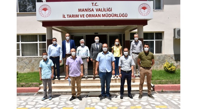 Bağlardaki silkme problemi değerlendirildi