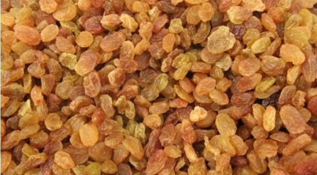 Çekirdeksiz kuru üzüm, kilogramı 9,25 ila 9,65 liradan işlem gördü