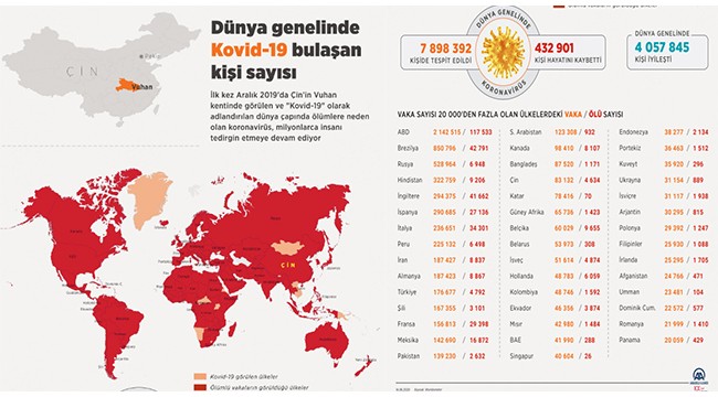 Dünya genelinde Kovid-19 tespit edilen kişi sayısı 7 milyon 873 bini geçti