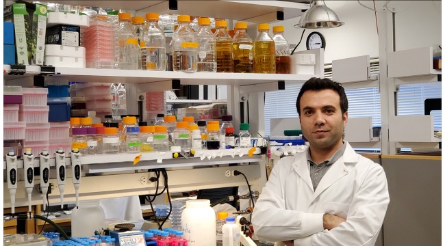 Harvardlı Türk bilim insanına 400 bin dolarlık araştırma ödülü