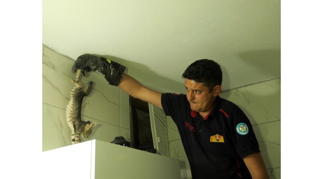 Havalandırma boşluğundaki yavru kediyi itfaiye kurtardı