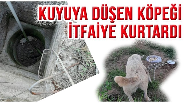 Kuyuya düşen köpeği itfaiye kurtardı
