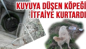 Kuyuya düşen köpeği itfaiye kurtardı