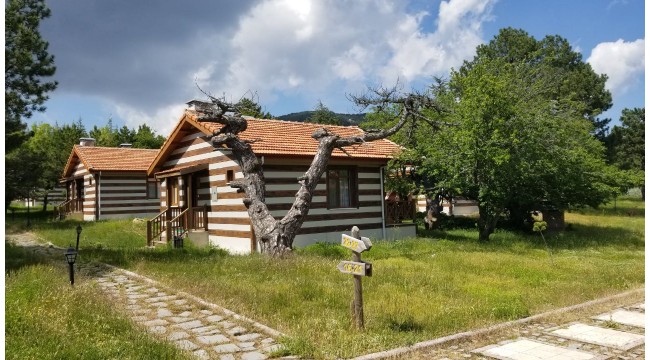 Spil Dağı Milli Parkı ziyarete açıldı