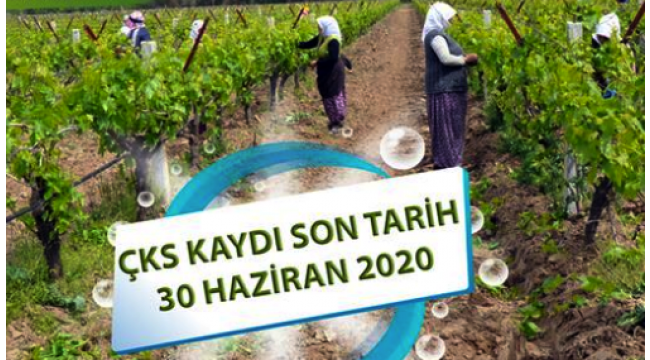 Turgutlulu çiftçiler dikkat! ÇKS kaydı için son tarih 30 Haziran
