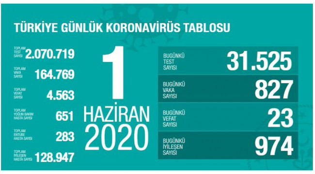Türkiye'nin 1 Haziran koronavirüs tablosu
