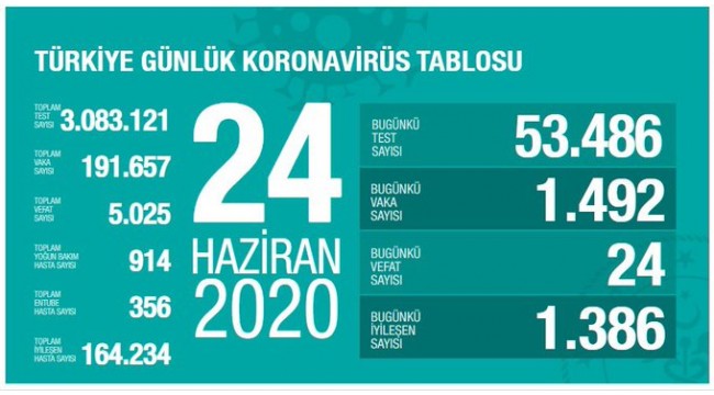 Türkiye'nin 24 Haziran koronavirüs tablosu