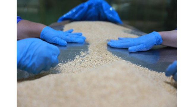 Türkiye'nin baharat ihracatı 5 ayda 80 milyon dolara ulaştı