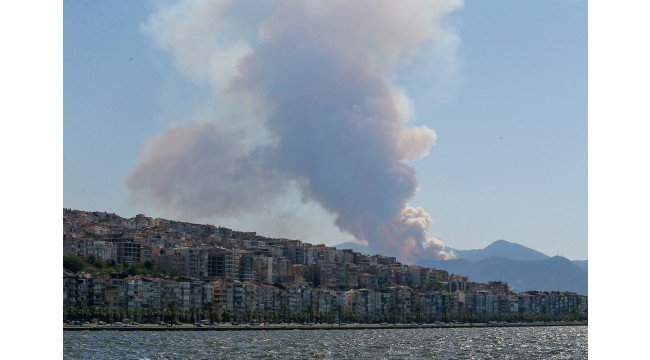İzmir'de orman yangını çıktı