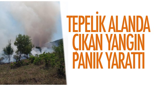 Tepelik alanda çıkan yangın panik yarattı